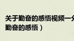 关于勤奋的感悟视频一分耕耘一分收获（关于勤奋的感悟）