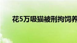 花5万吸猫被刑拘饲养宠物有哪些规定