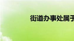 街道办事处属于什么单位