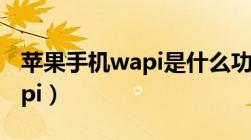 苹果手机wapi是什么功能（苹果手机启用wapi）