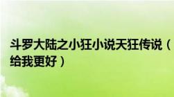 斗罗大陆之小狂小说天狂传说（求斗罗大陆之小狂荣奴 能传给我更好）