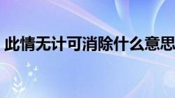 此情无计可消除什么意思（此情无计可消除）