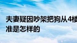 夫妻疑因吵架把狗从4楼推下 高空抛物量刑标准是怎样的