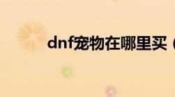 dnf宠物在哪里买（dnf3s宠物）