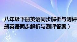 八年级下册英语同步解析与测评答案人教版2023（八年级上册英语同步解析与测评答案）