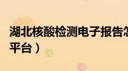 湖北核酸检测电子报告怎么查看 附查询流程+平台）