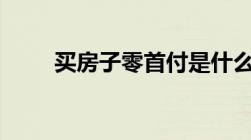 买房子零首付是什么意思 司法解释