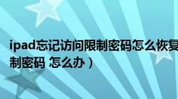 ipad忘记访问限制密码怎么恢复出厂设置（ipad忘记访问限制密码 怎么办）