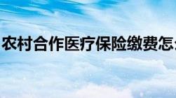 农村合作医疗保险缴费怎么交几种方法要知道