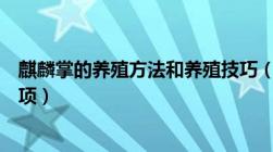 麒麟掌的养殖方法和养殖技巧（麒麟掌的养殖方法和注意事项）