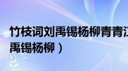 竹枝词刘禹锡杨柳青青江水平翻译（竹枝词刘禹锡杨柳）