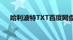 哈利波特TXT百度网盘（哈利波特txt）