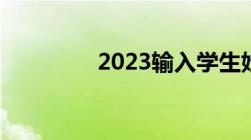 2023输入学生姓名查成绩