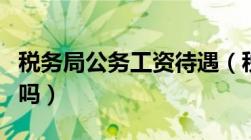 税务局公务工资待遇（税务局的公务员工资多吗）