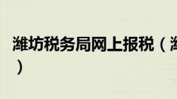 潍坊税务局网上报税（潍坊国税网上办税平台）