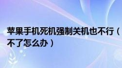 苹果手机死机强制关机也不行（苹果手机死机了 强行关机关不了怎么办）