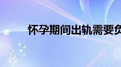 怀孕期间出轨需要负什么法律责任