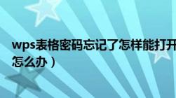 wps表格密码忘记了怎样能打开文档（wps表格密码忘记了怎么办）