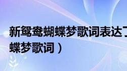 新鸳鸯蝴蝶梦歌词表达了什么意思（新鸳鸯蝴蝶梦歌词）