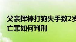 父亲挥棒打狗失手致2岁女儿死亡过失致人死亡罪如何判刑