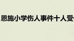 恩施小学伤人事件十人受伤故意伤害如何处罚