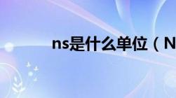 ns是什么单位（N是什么单位）