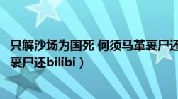 只解沙场为国死 何须马革裹尸还（只解沙场为国死何须马革裹尸还bilibi）