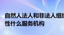 自然人法人和非法人组织可以依法设立非营利性什么服务机构