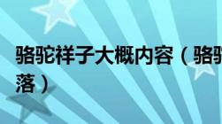 骆驼祥子大概内容（骆驼祥子中祥子的三起三落）