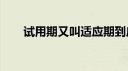 试用期又叫适应期到底应该怎样约定