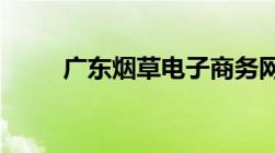 广东烟草电子商务网上订货怎么定