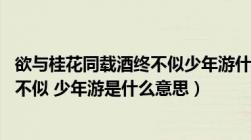 欲与桂花同载酒终不似少年游什么意思（欲买桂花同载酒 终不似 少年游是什么意思）