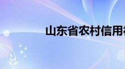 山东省农村信用社怎么贷款