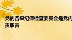 党的各级纪律检查委员会是党内监督的什么履行监督执纪问责职责