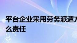 平台企业采用劳务派遣方式用工的依法履行什么责任