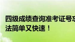 四级成绩查询准考证号忘记了怎么办这几种方法简单又快速！