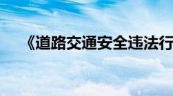 《道路交通安全违法行为记分管理办法》