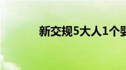 新交规5大人1个婴儿算超载吗