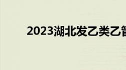 2023湖北发乙类乙管治疗医保政策