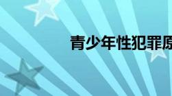 青少年性犯罪原因及预防