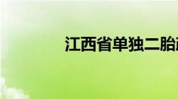 江西省单独二胎政策是什么