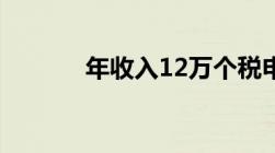 年收入12万个税申报什么内容