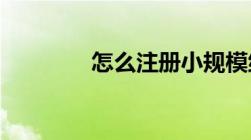 怎么注册小规模纳税人公司