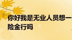 你好我是无业人员想一次性缴纳15年养老保险金行吗