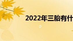 2022年三胎有什么补助政策