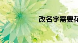 改名字需要花多少钱