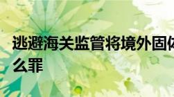 逃避海关监管将境外固体废物运输进境构成什么罪