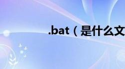 .bat（是什么文件格式啊）