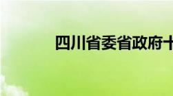 四川省委省政府十项规定内容