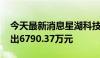 今天最新消息星湖科技今日涨停 一机构净卖出6790.37万元